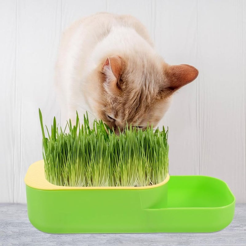 Hydroponic Cat Grass Planter Box Indoor Soilless Catnip Kit Green - Image 5